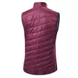 Löffler - Vest PL60 - naisten hiihtoliivi - Naisten hiihtotakit - 23189-595 - 2