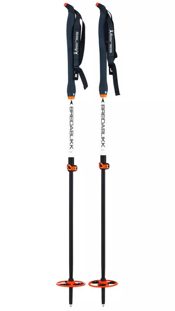 Åsnes Breidablikk BC 2-Section Pole - Sauvat - 541707 - 1