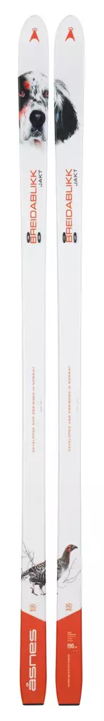 Åsnes Breidablikk BC - Eräsukset - 542017_JAKT - 1